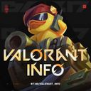 Аватарка канала @valorant_info