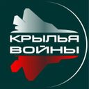 Аватарка канала @wingsofwar
