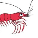 Аватарка канала @sdshrimp