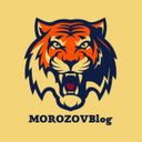 Аватарка канала @blogmorozova