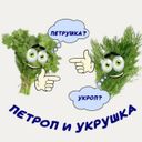 Аватарка канала @fanvids