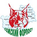 Аватарка канала @uvdgomel