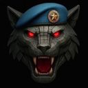 Аватарка канала @russian_shock_volunteer_brigade