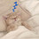 Логотип Спящие котики на каждый день