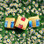 Логотип Телеканал ТнТ