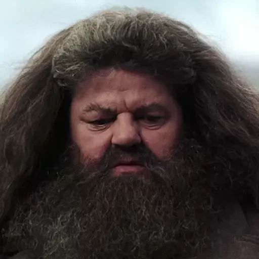 Стикер «Гарри Поттер 2-8»