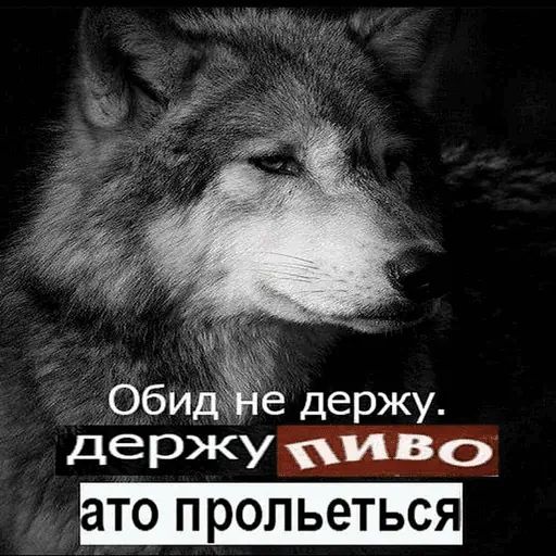 Стикер «Пиво и ничего лишнего-8»