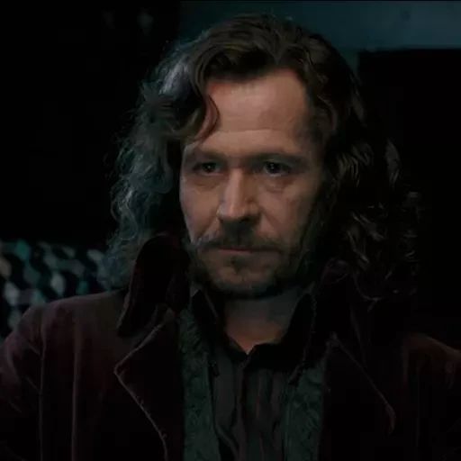 Стикер «Гарри Поттер 5-5»