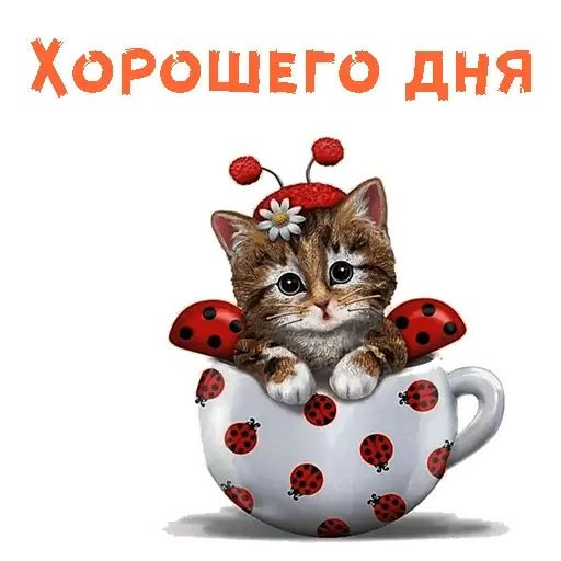 Стикер «Мульт-приветствия-12»