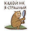 Набор стикеров «Средневековые коты»