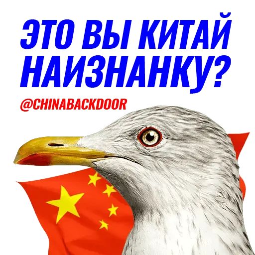 Стикер «Чайчка-1»