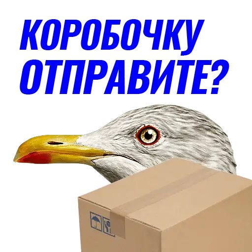 Стикер «Чайчка-10»
