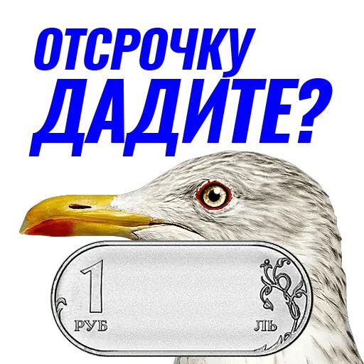 Стикер «Чайчка-11»