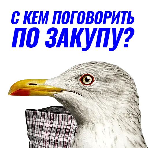 Стикер «Чайчка-2»