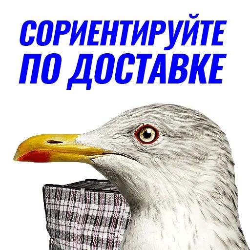 Стикер «Чайчка-4»