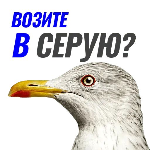 Стикер «Чайчка-5»