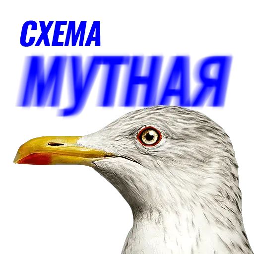 Стикер «Чайчка-6»