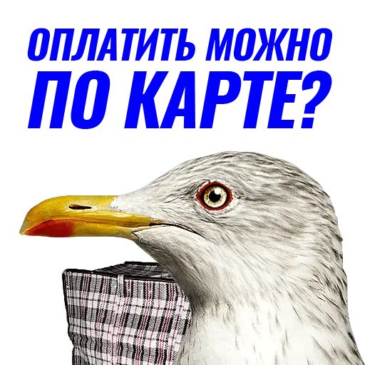 Стикер «Чайчка-7»