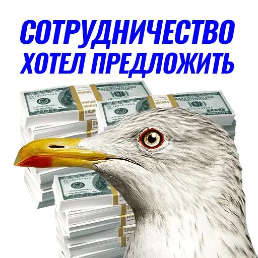 Стикер «Чайчка-8»