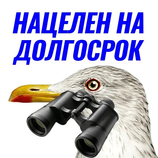 Стикер «Чайчка-9»