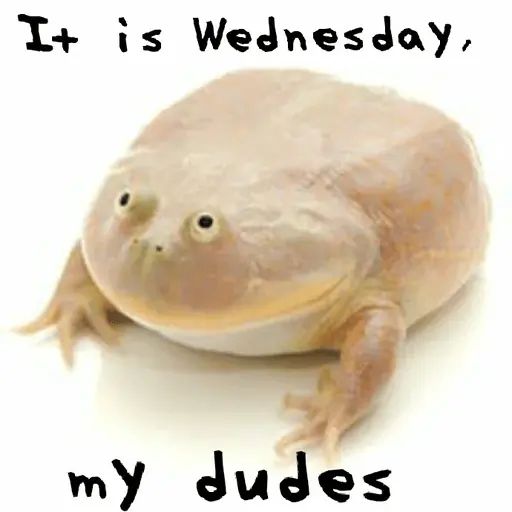 Стикер «It's Wednesday my dudes-1»