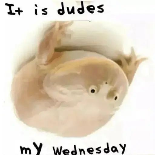 Стикер «It's Wednesday my dudes-2»