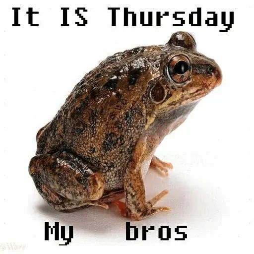 Стикер «It's Wednesday my dudes-9»