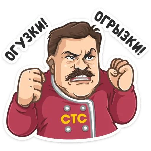 Стикер «Телеканал СТС-10»