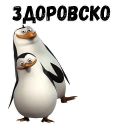 Набор стикеров «Пингвин»