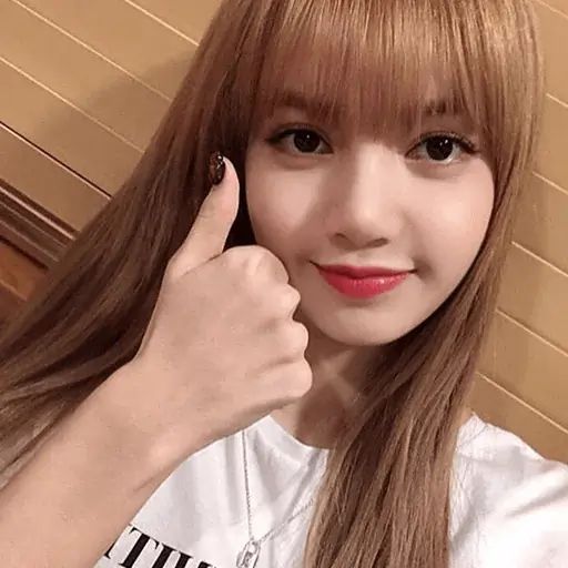 Стикер «BLACKPINK-12»