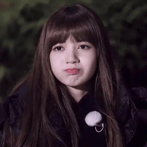 Стикер «BLACKPINK-4»