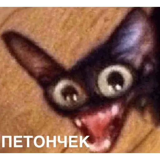 Стикер «Упоротый кот-1»