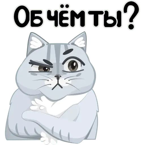 Стикер «Волшебный кот-5»