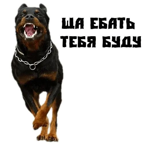 Стикер «Псина сутулая-3»