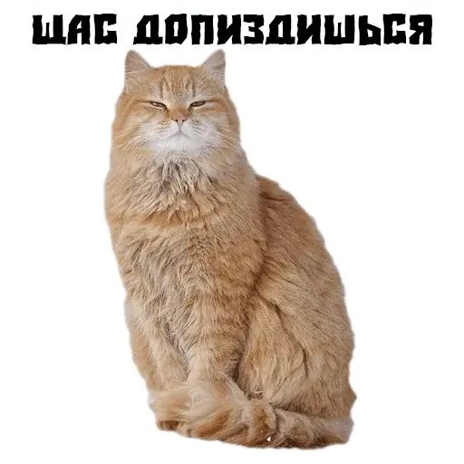 Стикер «Псина сутулая-8»