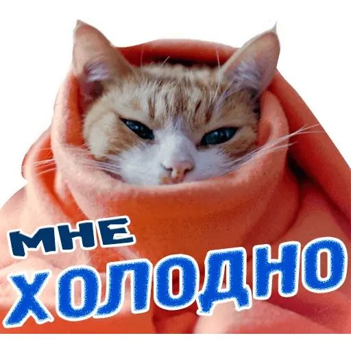 Холодно Стикер