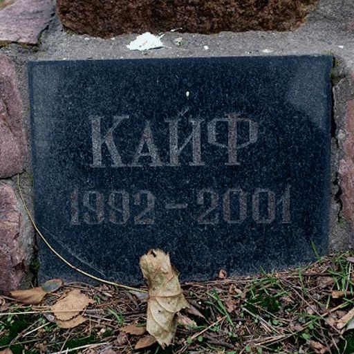 Стикер «Могильные камни-10»