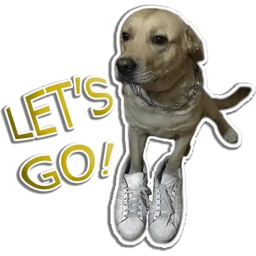 Стикер «Собака-рэпер-12»