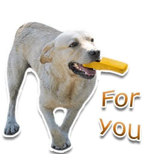 Стикер «Собака-рэпер-5»