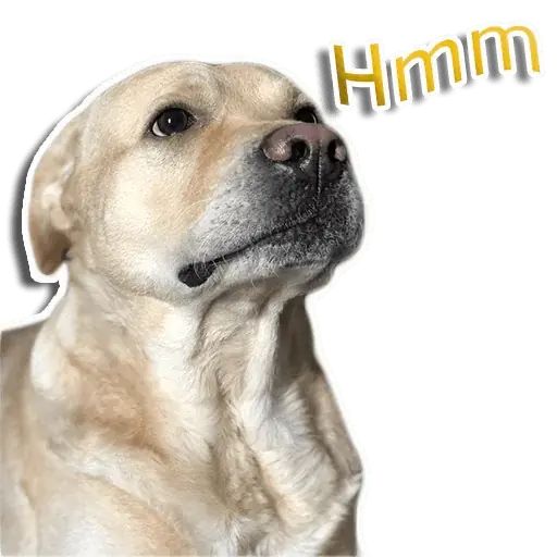 Стикер «Собака-рэпер-7»