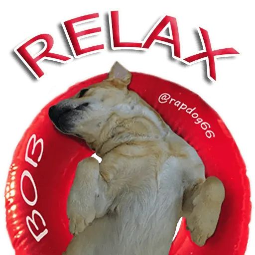 Стикер «Собака-рэпер-9»