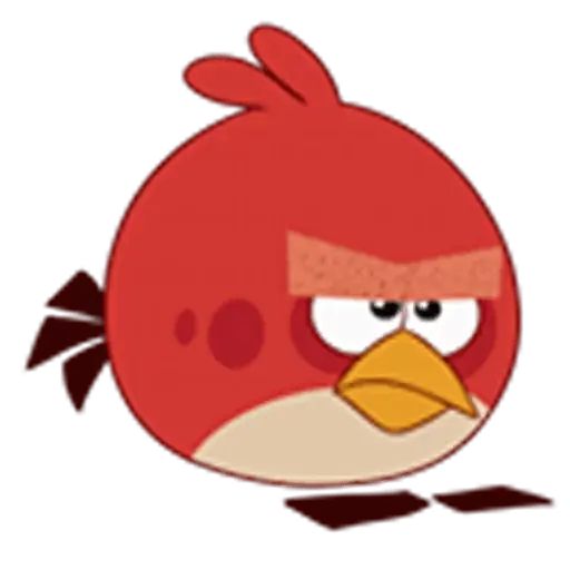 Стикер «Angry Birds-6»