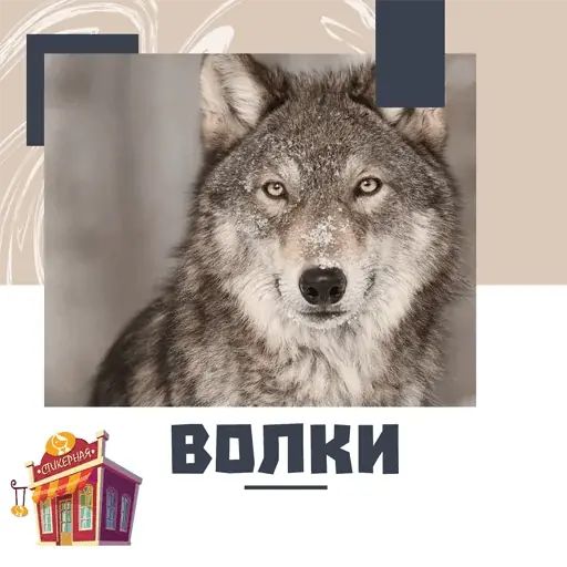 Стикер «Волки-1»