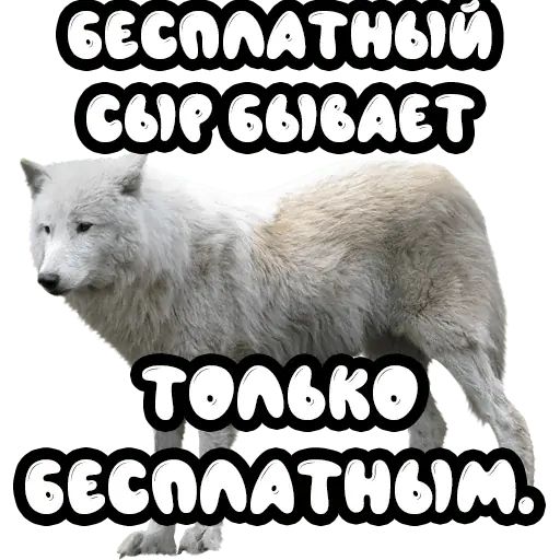 Стикер «Волки-2»