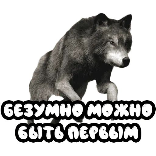 Стикер «Волки-4»