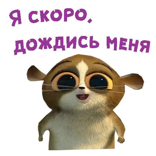 Стикер «Лемур Морт-6»