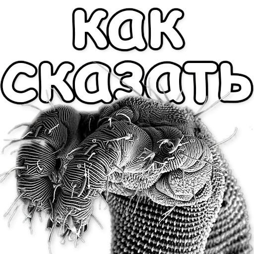 Стикер «Паразиты-10»