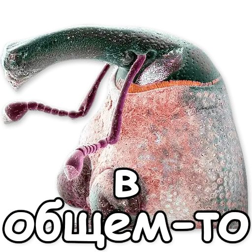 Стикер «Паразиты-12»