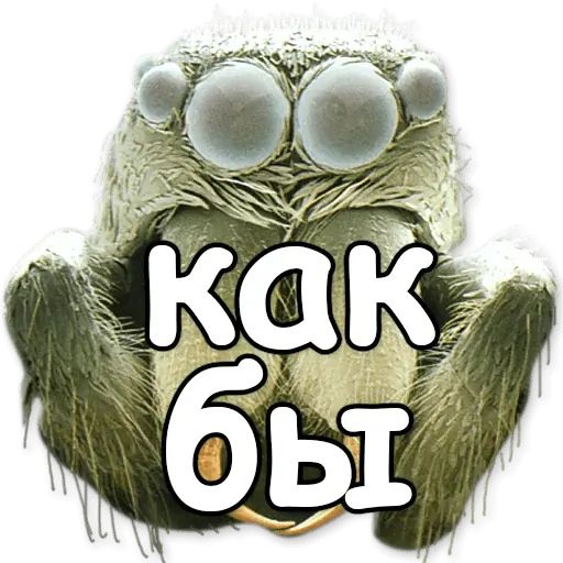 Стикер «Паразиты-6»