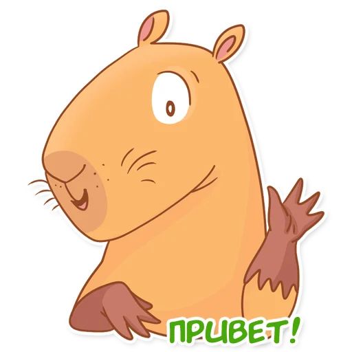 Стикер «Капи Барри-1»